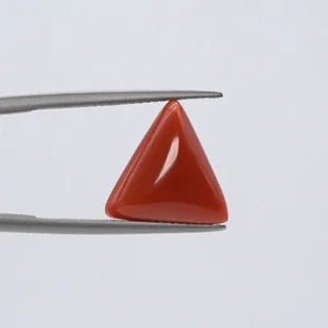 Natural Red Coral - 6.88ct
