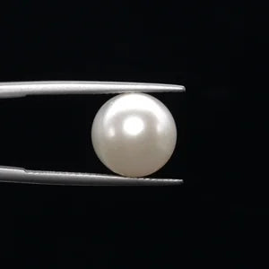 Pearl - 3581