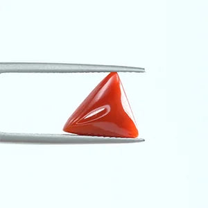 Natural Red Coral - 2.73ct