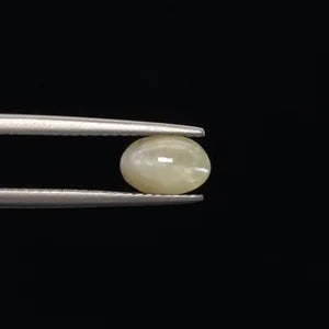 Natural Cats Eye - 1.60ct